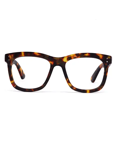 11am | Brown Tort | Reading Glasses