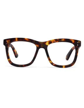 11am | Brown Tort | Reading Glasses