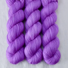 Archway - Yummy 2-Ply