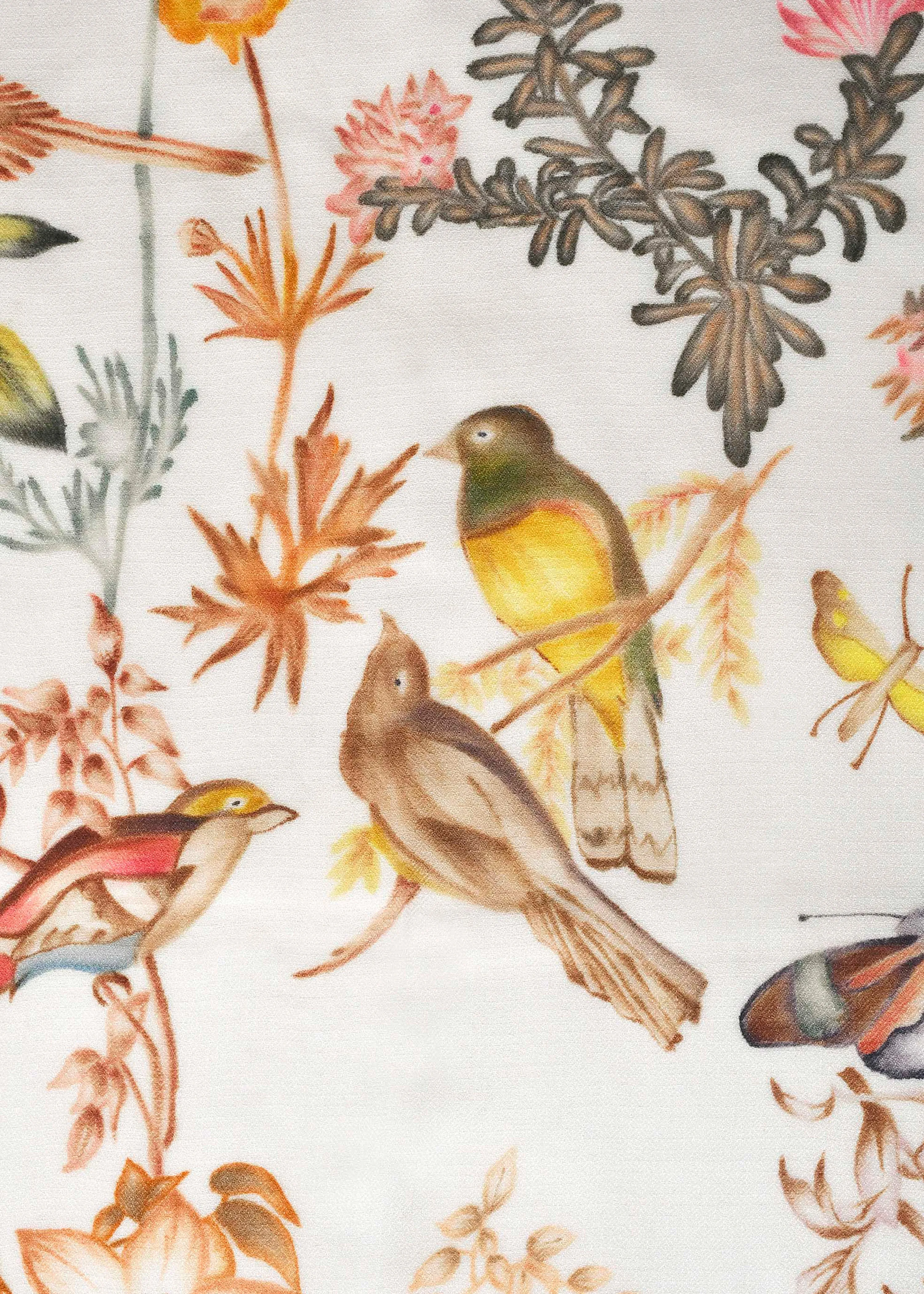Birds in Paradise in Cashmere