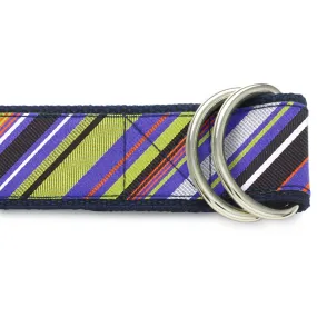 Claybank Creek - D-Ring Belts
