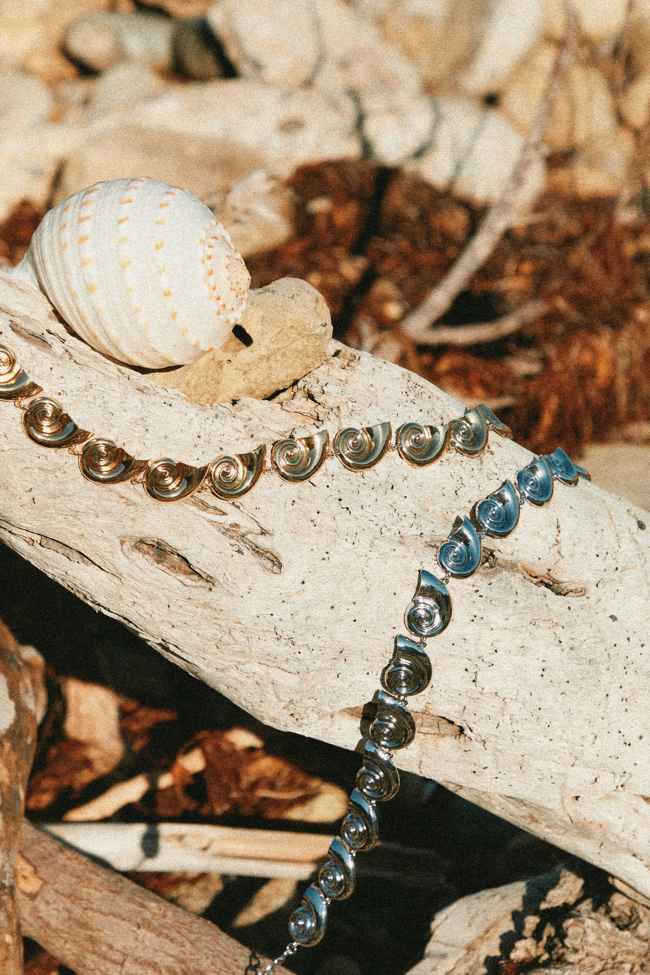 Leilani Sea Shell Chain Belt - Gold