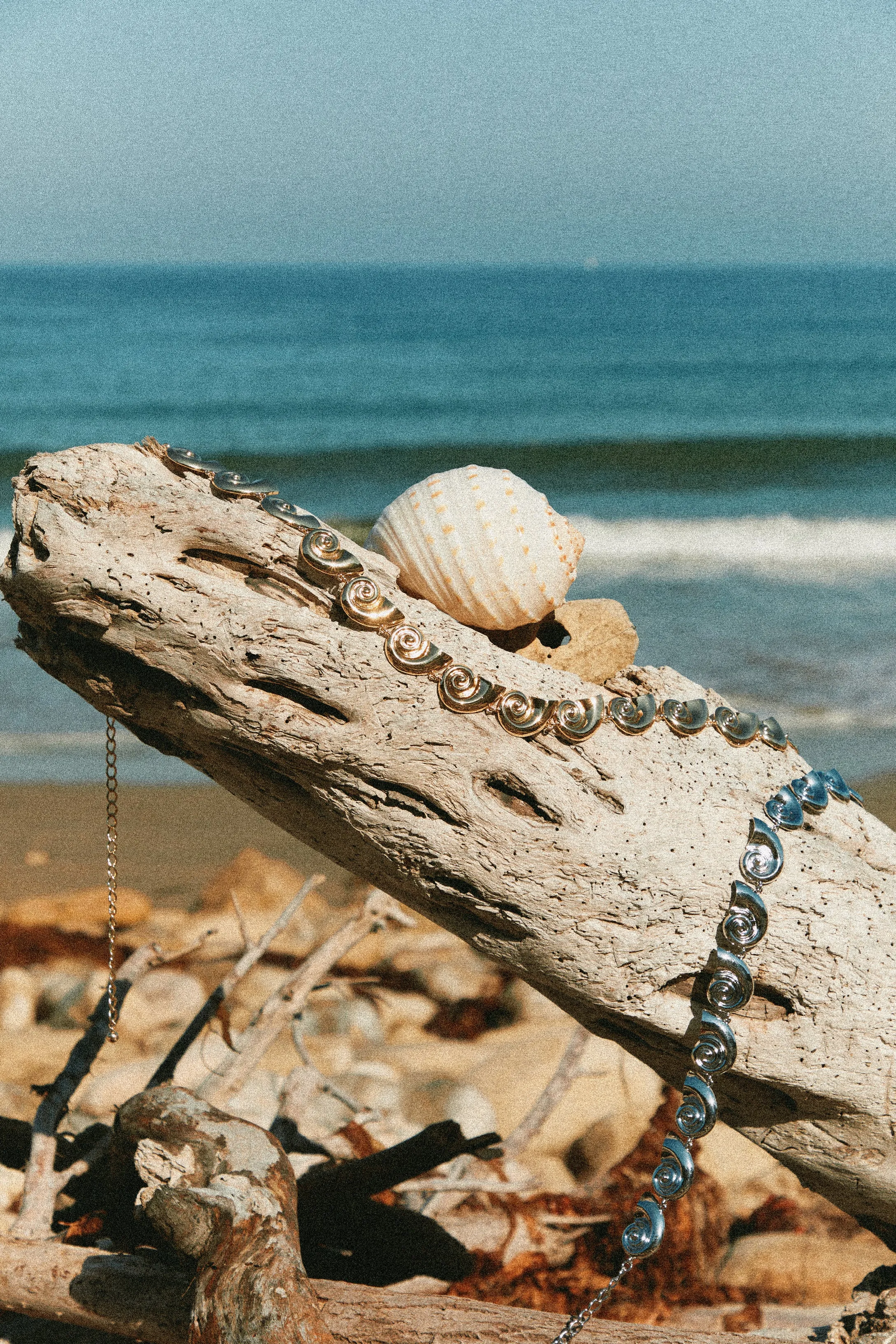 Leilani Sea Shell Chain Belt - Gold