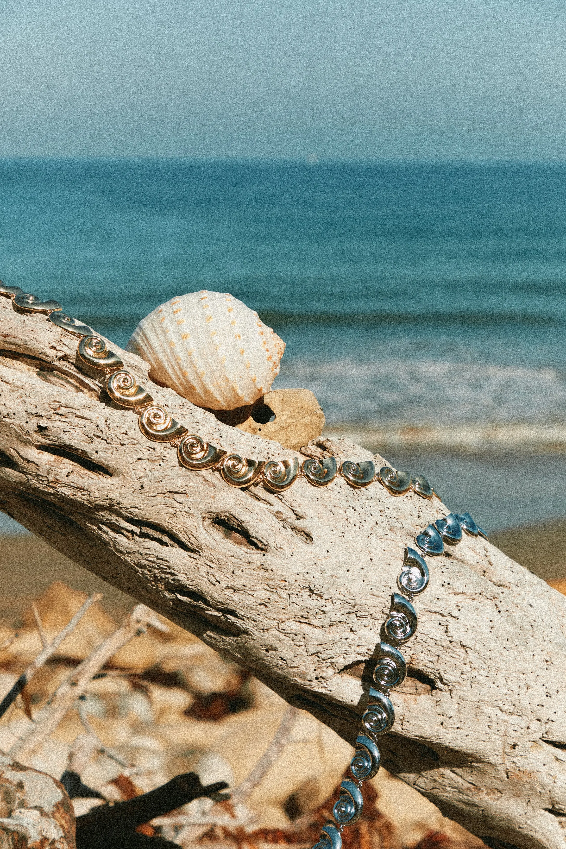 Leilani Sea Shell Chain Belt - Gold