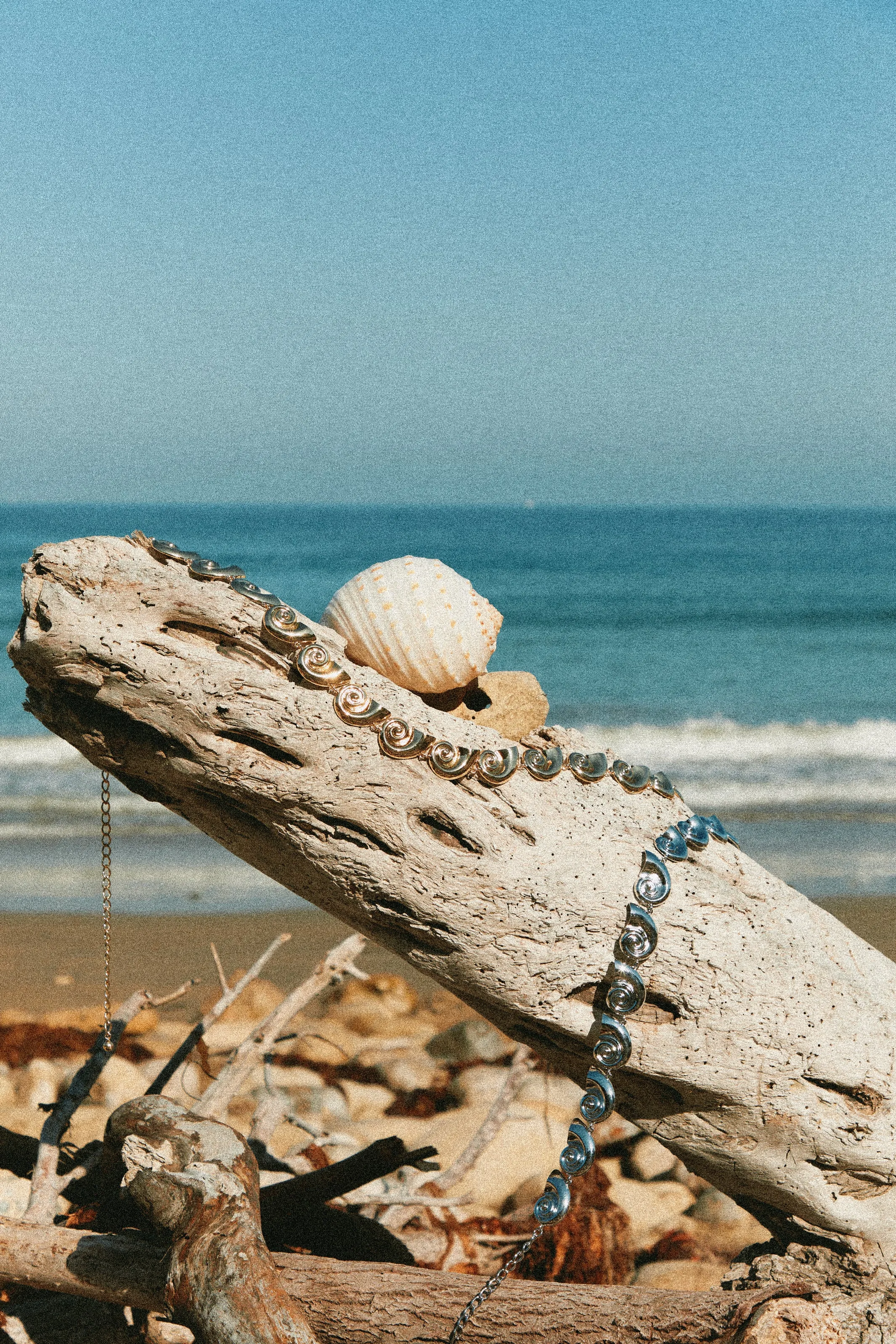 Leilani Sea Shell Chain Belt - Gold