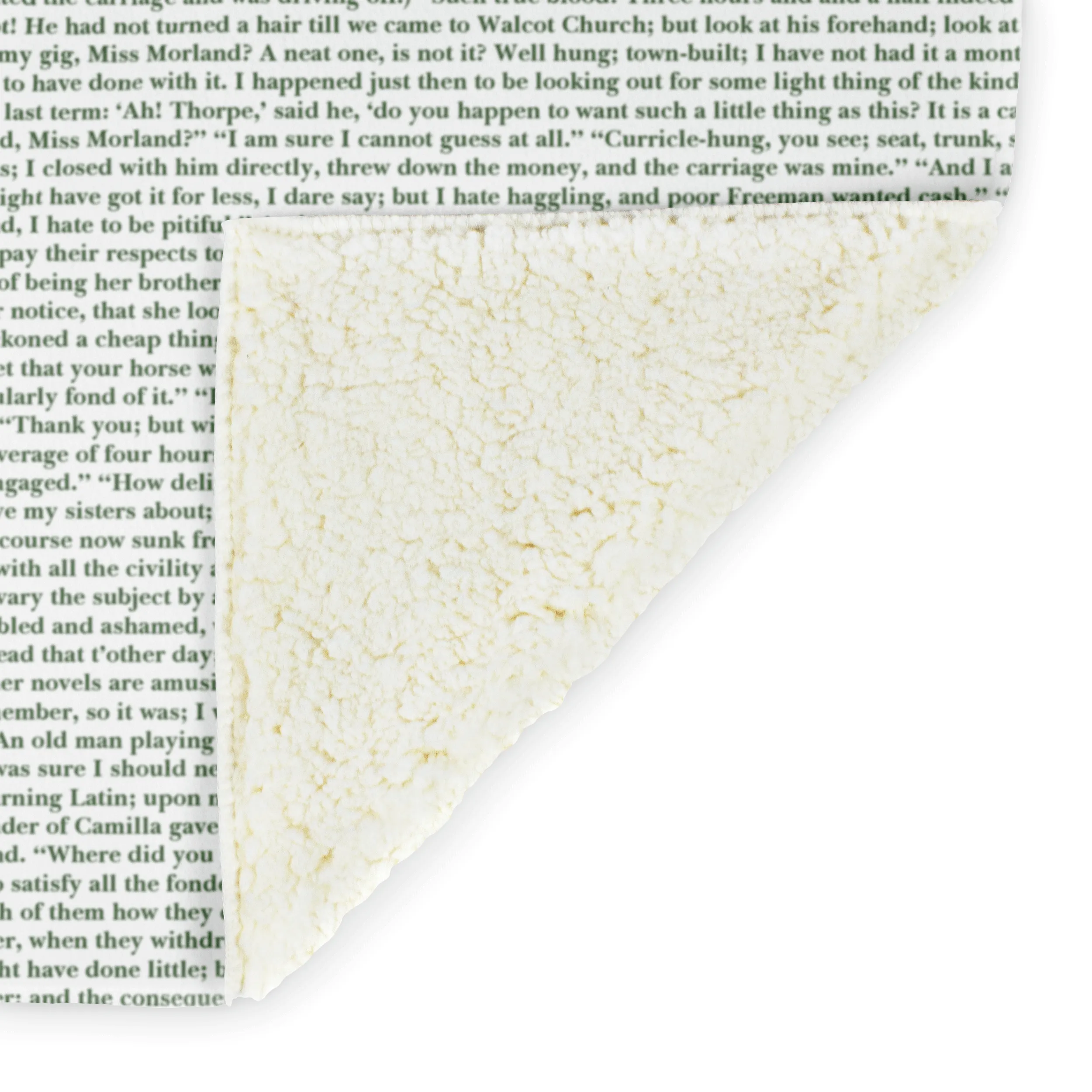 Northanger Abbey