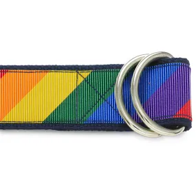 Pride Lane - D-Ring Belts
