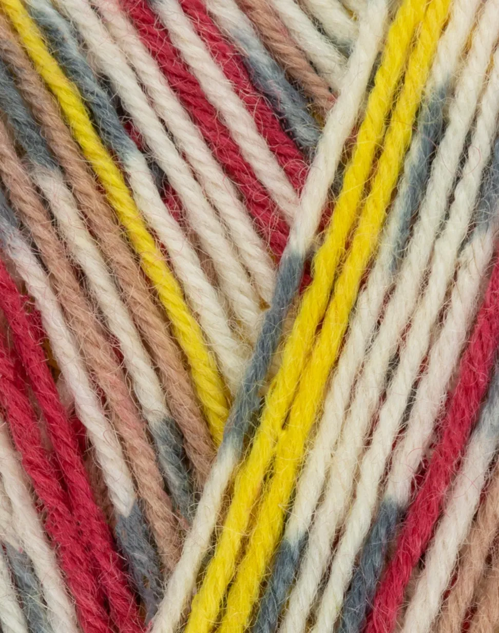 West Yorkshire Spinners - Signature 4ply Country Birds